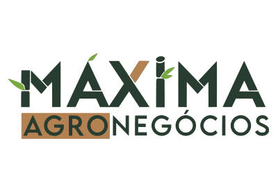 Fundação da Máxima Agronegócios