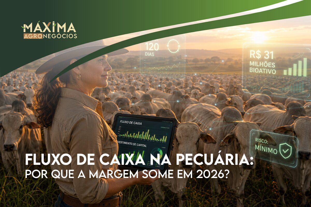 Fluxo de caixa na pecuária em 2026: Por que a margem some?