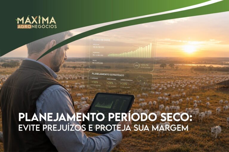 Planejamento da seca na pecuária em 2026: Evite prejuízos